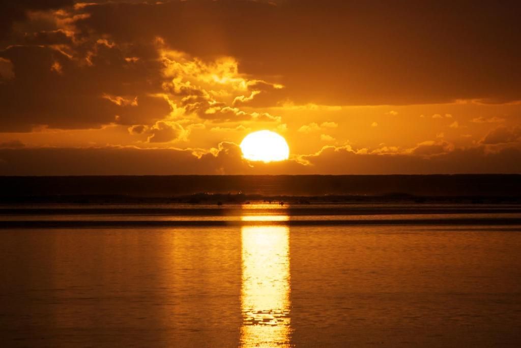 The Black Pearl Beachside Apartments Rarotonga Extérieur photo